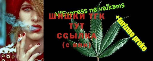 Альфа ПВП Новозыбков